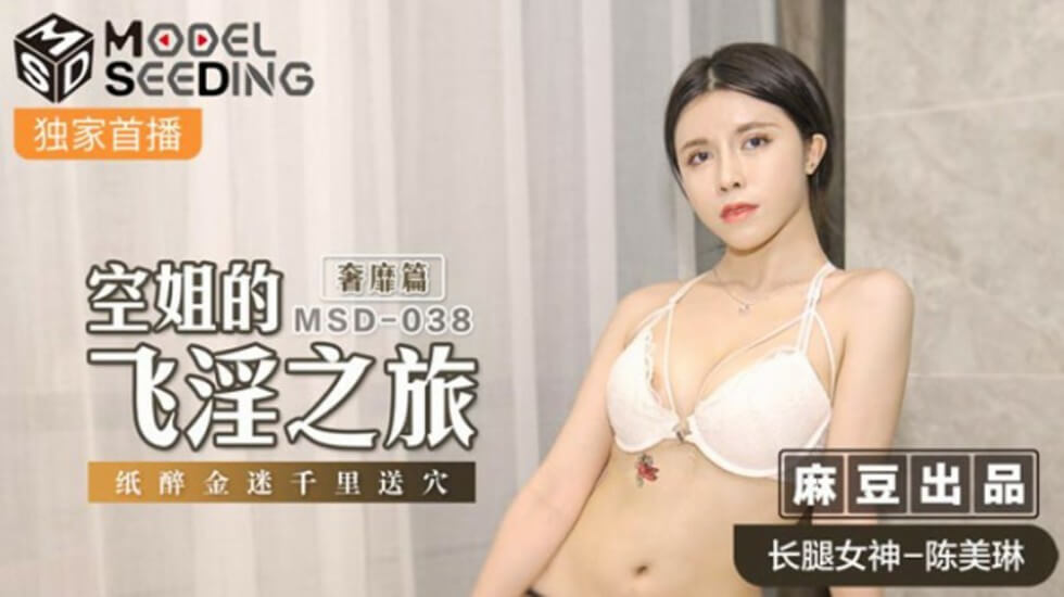 麻豆奢靡空姐篇：陈美琳纸醉金迷的千里送穴飞淫诱惑